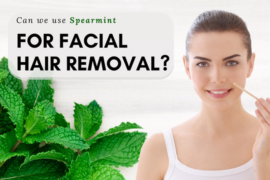 Can We Use Spearmint For Facial Hair Removal Vinatura Supplements 8951