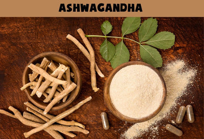 Ashwagandha Benefits for Women