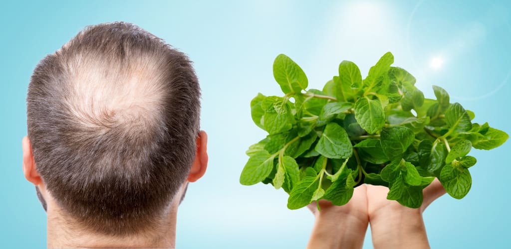 Benefits Of Spearmint For Hair And Scalp Does Spearmint Block Dht 5466