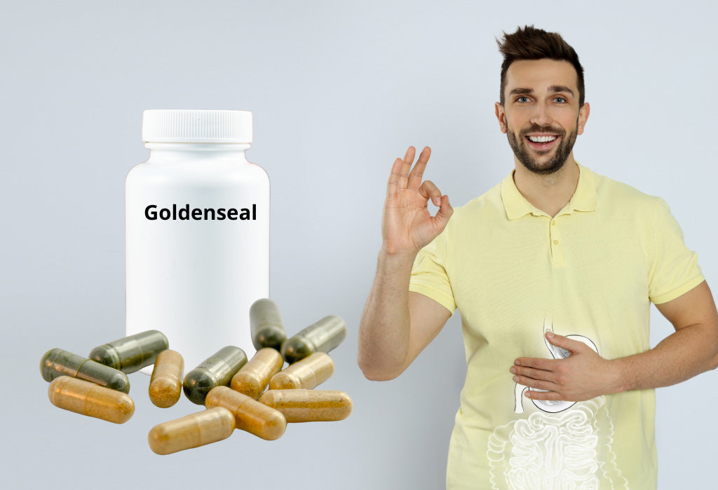 What Are Benefits of Goldenseal Root for Digestive Health?