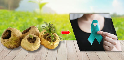 benefits of maca root for pcos