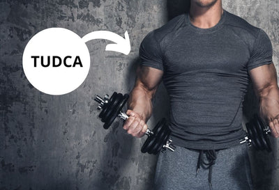 Benefits of TUDCA for Body Building