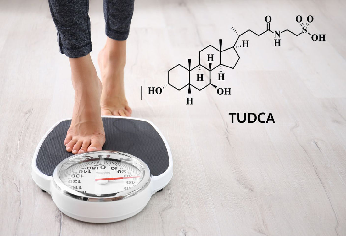 Benefits of TUDCA for Weight Loss