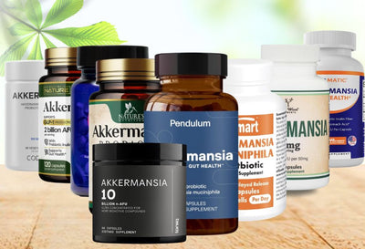 Best Akkermansia Supplements