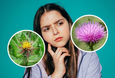 Blessed Thistle Vs Milk Thistle