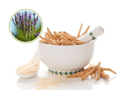 Blue Vervain Vs Ashwagandha