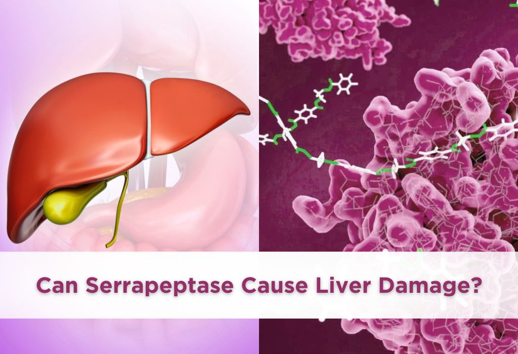 Can Serrapeptase Cause Liver Damage