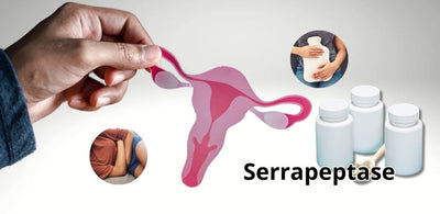 Can Serrapeptase Help With PCOS