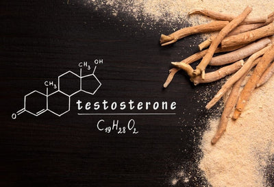 Does Ashwagandha Increase Testosterone