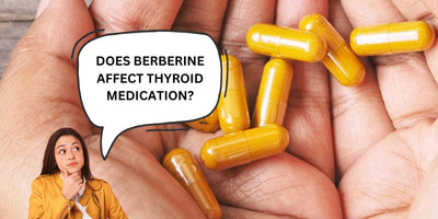 Does Berberine Affect Thyroid Medication