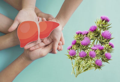 Does Milk Thistle Detox the Liver