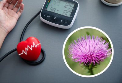 Does Milk Thistle Lower Blood Pressure