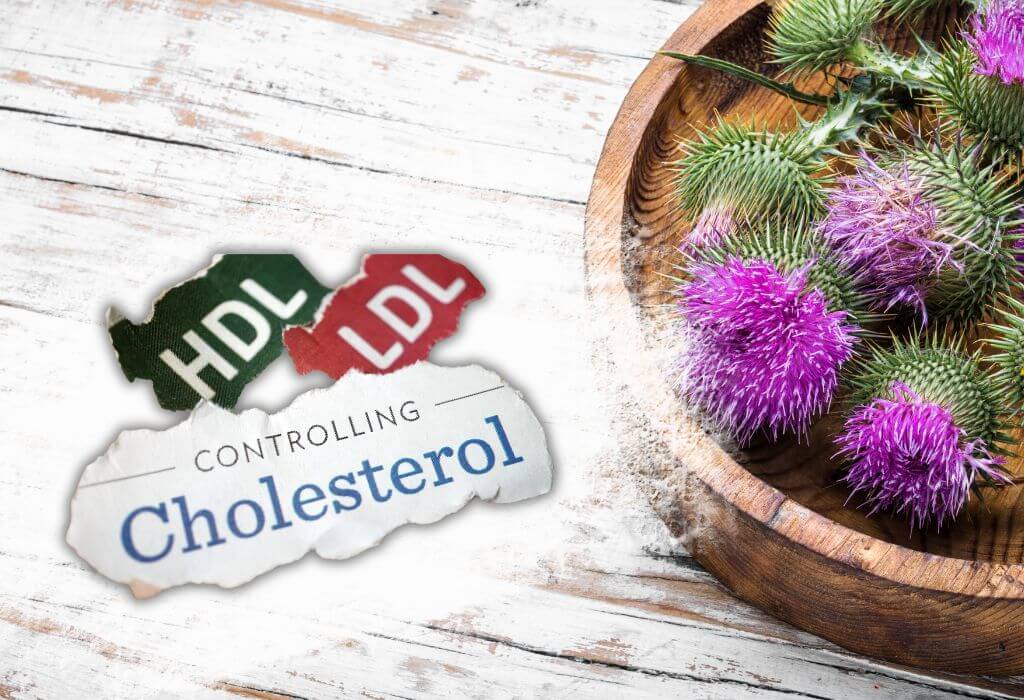 Does Milk Thistle Lower Cholesterol
