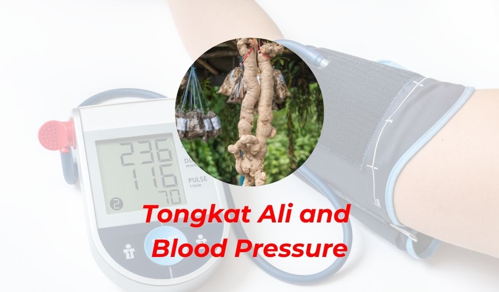 does tongkat ali affect blood pressure
