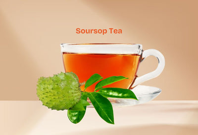 How Often Should You Drink Soursop Tea