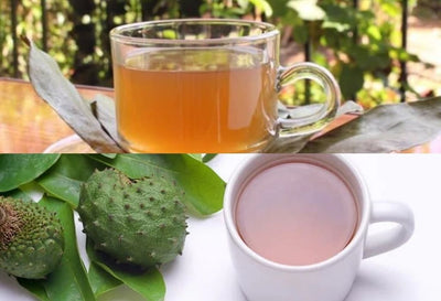 How To Make Soursop Tea With Leaves