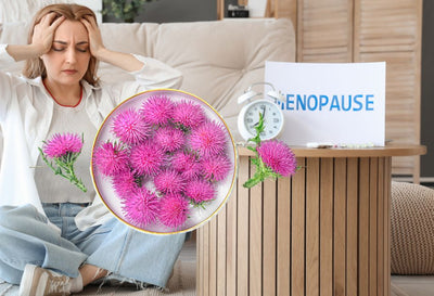 Is milk thistle good for menopause