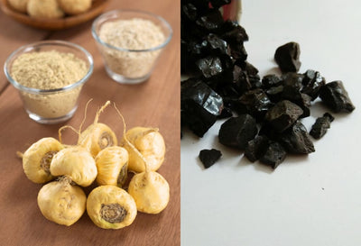 Maca Root Vs. Shilajit