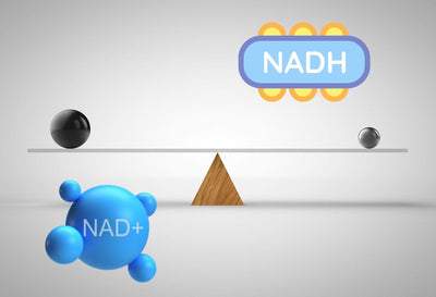 NAD+ vs NADH