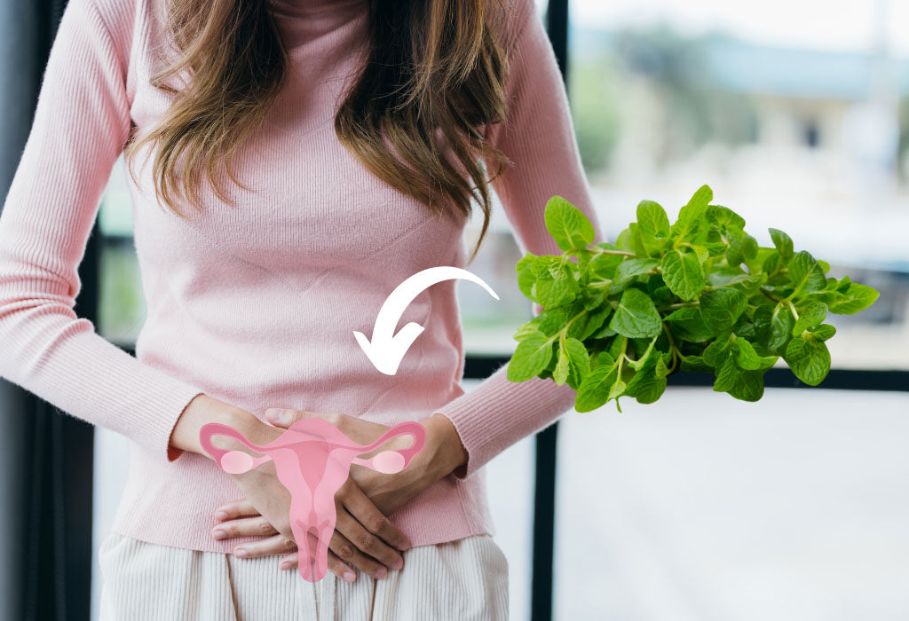 What are the Benefits of Spearmint for PCOS?
