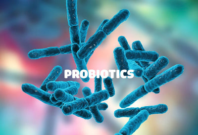 Which Probiotics Cause Weight Gain