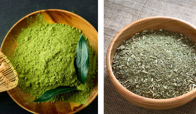 yerba mate vs matcha