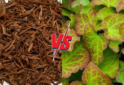 Yohimbine Vs. Horny Goat Weed