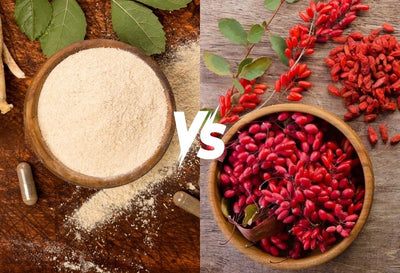 ashwagandha vs berberine