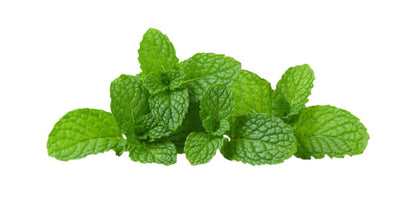 benefits of spearmint