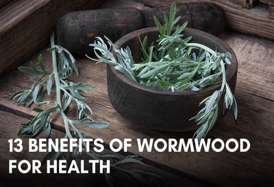 benefits of wormwood