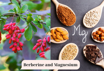 berberine and magnesium