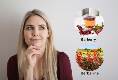 barberry vs berberine