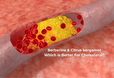 berberine vs citrus bergamot