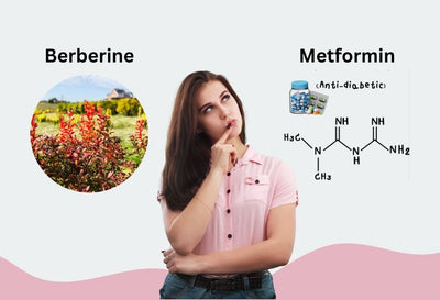 berberine vs metformin