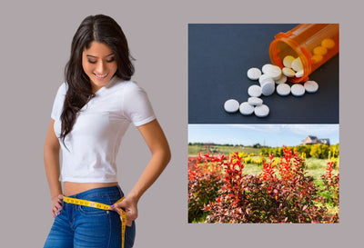 berberine vs phentermine