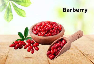 best time to take berberine