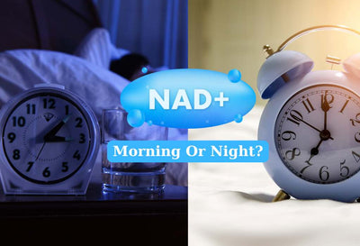 Best Time To Take NAD+ Supplement: Morning Or Night?