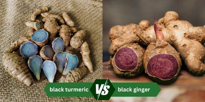 Black Turmeric vs Black Ginger