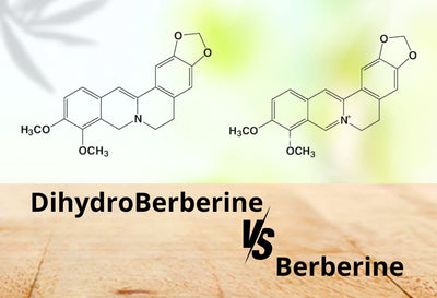 dihydroberberine vs berberine