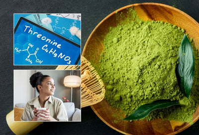 does matcha have l theanine