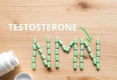 does nmn increase testosterone