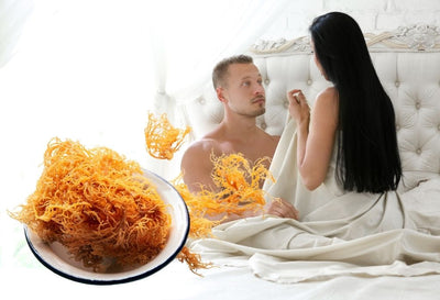 Does Sea Moss Help Sexually? A Sea Moss Guide for Sexual Health