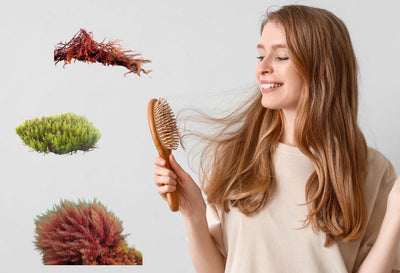 does sea moss help with hair growth