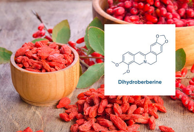 how much dihydroberberine per day