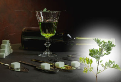 How To Make Absinthe With Wormwood At Home?