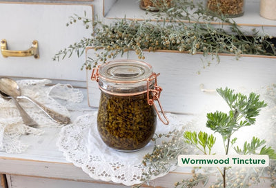 How To Make Wormwood Tincture At Home?