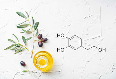 hydroxytyrosol in olives leaf extract