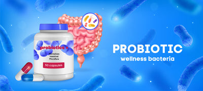 lactobacillus salivarius benefits