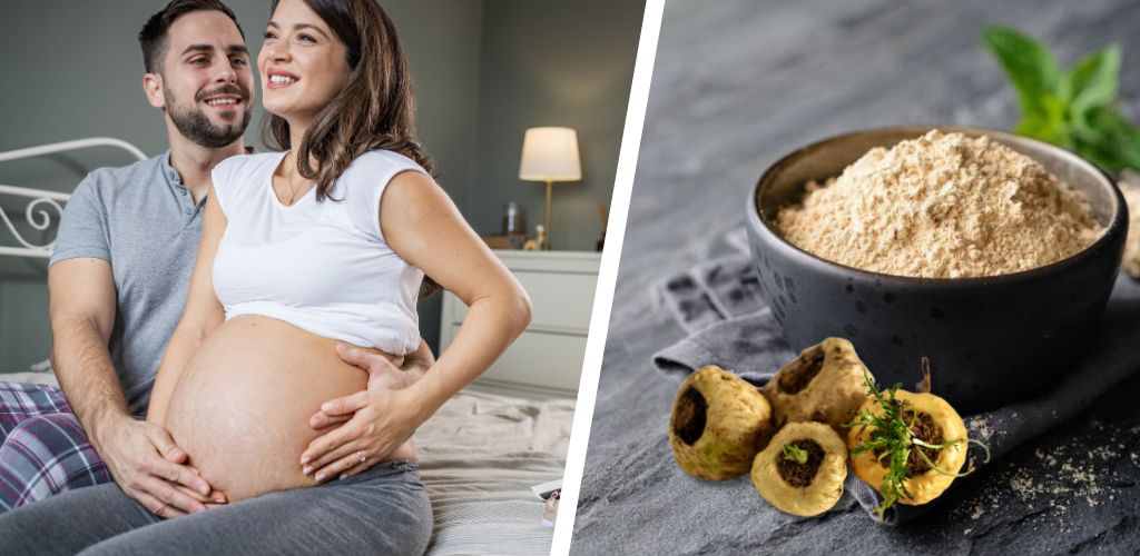 Benefits Of Maca Root For Male Fertility