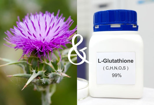 milk thistle and glutathione together